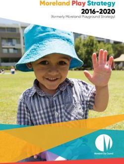 Moreland Play Strategy 2016-2020 - (formerly Moreland Playground Strategy) - Moreland City Council