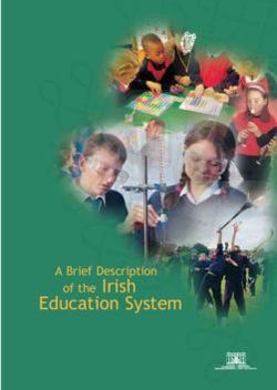 history of irish education system essay