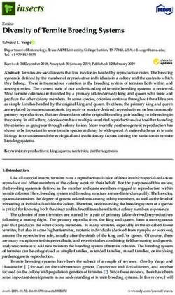 Diversity of Termite Breeding Systems - Review - MDPI