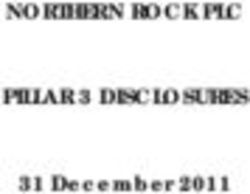 NORTHERN ROCK PLC PILLAR 3 DISCLOSURES - 31 December 2011