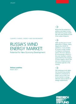 RUSSIA'S WIND ENERGY MARKET: Potential for New Economy Development - Bibliothek der Friedrich ...