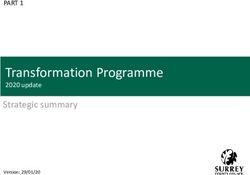 Transformation Programme - 2020 update Strategic summary - Surrey ...