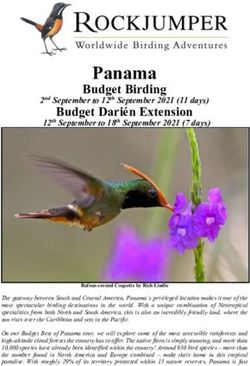 Panama Budget Birding - 2nd September to 12th September 2021 (11 days) - Rockjumper Birding