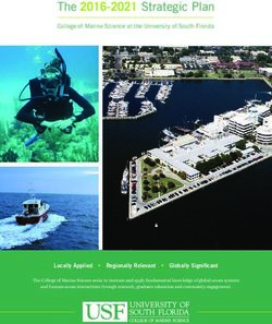 The 2016-2021 Strategic Plan - University of South Florida