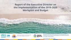 Report of the Executive Director on the Implementation of the 2019-2020 Workplan and Budget