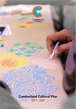 Cumberland Cultural Plan 2019 2029