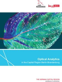 Optical Analytics in the Capital Region Berlin-Brandenburg