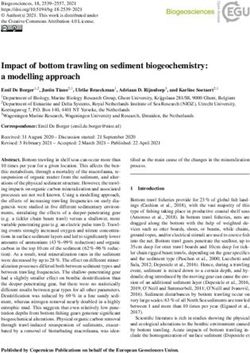 Impact of bottom trawling on sediment biogeochemistry: a modelling approach