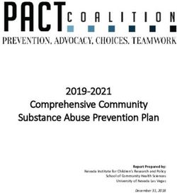 Comprehensive Community Substance Abuse Prevention Plan - 2019-2021 Report Prepared by: Nevada Institute for Children's Research and Policy School ...