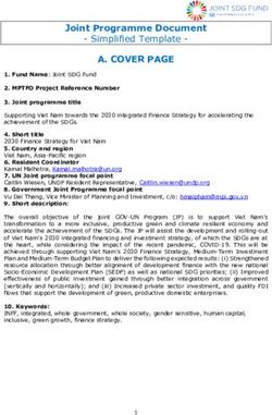 A. COVER PAGE Joint Programme Document - Simplified Template - United Nations Development ...