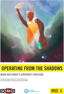 OPERATING FROM THE SHADOWS - INSIDE NSO GROUP'S CORPORATE STRUCTURE - SOMO.nl