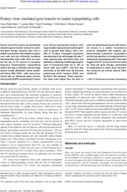 Foamy virus-mediated gene transfer to canine repopulating cells
