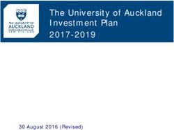 The University of Auckland Investment Plan 2017-2019 - 30 August 2016 (Revised)