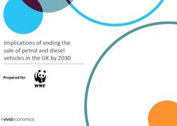 Implications of ending the sale of petrol and diesel vehicles in the UK by 2030 - Prepared for