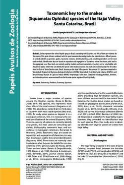 Taxonomic key to the snakes (Squamata: Ophidia) species of the Itajaí Valley, Santa Catarina, Brazil