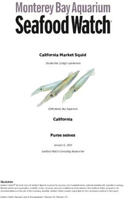 California Market Squid - Seafood Watch