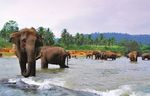 BAY OF BENGAL COLOMBO - SINGAPORE - Explor Cruises