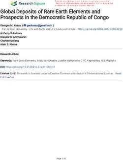 Global Deposits of Rare Earth Elements and Prospects in the Democratic Republic of Congo