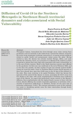 Diffusion of Covid-19 in the Northern Metropolis in Northeast Brazil: territorial dynamics and risks associated with Social Vulnerability