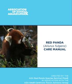 RED PANDA CARE MANUAL - (Ailurus fulgens) - CREATED BY