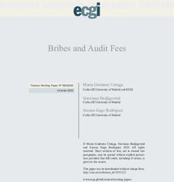 Bribes and Audit Fees - European Corporate Governance ...