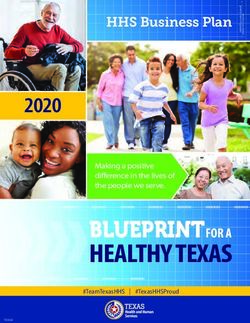 hhs business plan blueprint for a healthy texas