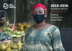 2019-2020 PROGRESS REPORT - Building Resilience to Global Risks - NAP Global Network