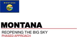 MONTANA REOPENING THE BIG SKY PHASED APPROACH