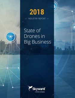 2018 State of Drones in Big Business - Skyward.io