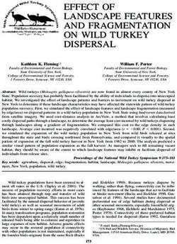 EFFECT OF LANDSCAPE FEATURES AND FRAGMENTATION ON WILD TURKEY DISPERSAL