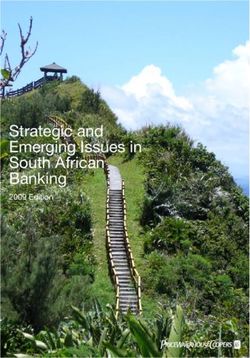 STRATEGIC AND EMERGING ISSUES IN SOUTH AFRICAN BANKING - 2009 EDITION - PWC SOUTH AFRICA