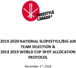 2019-2020 NATIONAL SLOPESTYLE/BIG AIR TEAM SELECTION & 2018 2019 WORLD CUP SPOT ALLOCATION PROTOCOL - November 1st, 2018 - Freestyle Canada
