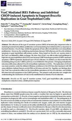 VceC Mediated IRE1 Pathway and Inhibited CHOP-induced Apoptosis to Support Brucella Replication in Goat Trophoblast Cells - MDPI