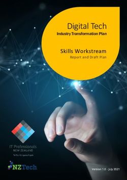 Digital Tech Skills Workstream - Report and Draft Plan