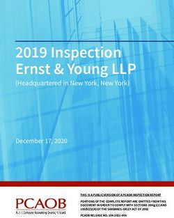 2019 Inspection Ernst & Young LLP - (Headquartered in New York, New York) - PCAOB