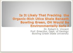 Is It Likely That Fracking the Organic-Rich Utica Shale Beneath Bowling Green, OH Would Be Environmentally Safe ? - Dr. Robert K. Vincent Prof ...
