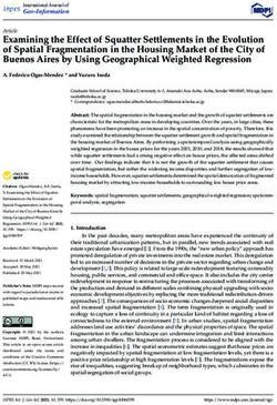 Examining the Effect of Squatter Settlements in the Evolution of Spatial Fragmentation in the Housing Market of the City of Buenos Aires by Using ...