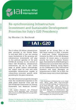 Re-synchronising Infrastructure Investment and Sustainable Development: Priorities for Italy's G20 Presidency