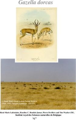 Gazella dorcas - Ouadi Rimé-Ouadi Achim Faunal Reserve. Chad. 1999. François Lamarque. ONCFS - CMS