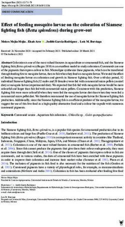 Effect of feeding mosquito larvae on the coloration of Siamese fighting fish (Betta splendens) during grow-out