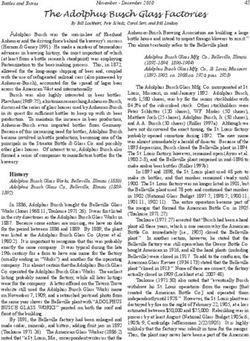 The Adolphus Busch Glass Factories