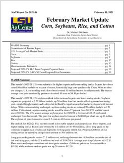 FEBRUARY MARKET UPDATE - CORN, SOYBEANS, RICE, AND COTTON - LSU AGCENTER
