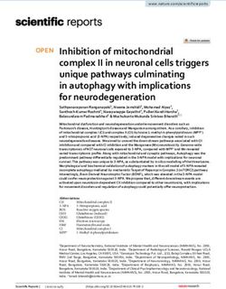 Inhibition of mitochondrial complex II in neuronal cells triggers unique pathways culminating in autophagy with implications for neurodegeneration