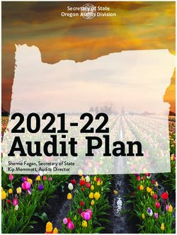 2021-22 Audit Plan - Secretary of State Oregon Audits Division - Shemia Fagan, Secretary of State Kip Memmott, Audits Director - State of Oregon