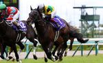 Exclusive Topics for Horse Racing in Japan - Summer Edition