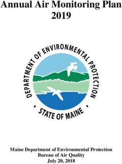 Annual Air Monitoring Plan 2019 - Maine Department of Environmental Protection Bureau of Air Quality July 20, 2018