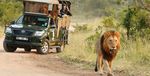 ABOUT THE TOUR 3 DAY BEST OF KRUGER PRIVATE SAFARI