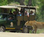 ABOUT THE TOUR 3 DAY BEST OF KRUGER PRIVATE SAFARI