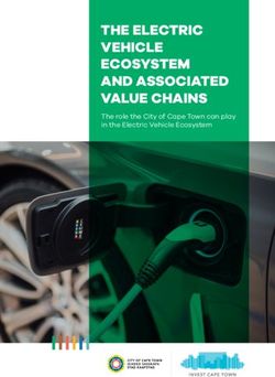 THE ELECTRIC VEHICLE ECOSYSTEM AND ASSOCIATED VALUE CHAINS - The role the City of Cape Town can play in the Electric Vehicle Ecosystem