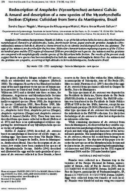 Redescription of Anopheles Nyssorhynchus antunesi Galvão & Amaral and description of a new species of the Myzorhynchella Section Diptera: ...